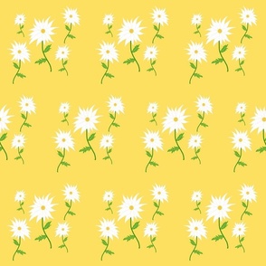 Dancing Daisy rows - white on buttercup yellow 