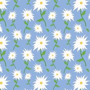 Wild Daisy Dream - white on cornflower blue 