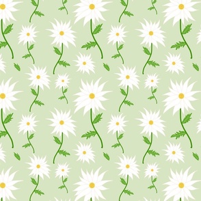 Wild Daisy Dream - white on celadon green