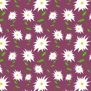 Wild Daisy Dream - white on berry purple