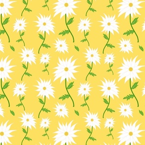 Wild Daisy Dream - white on buttercup yellow