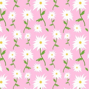 Wild Daisy Dream - white on carnation pink 