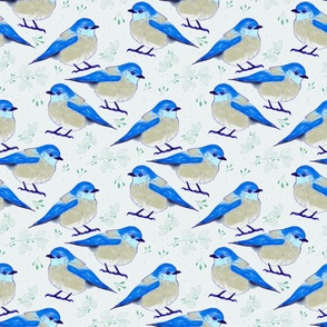 Blue little bird