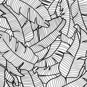 LARGE MODERN TROPICAL BANANA PALM LEAVES TOSSED LINEAR OUTLINE-MONOCHROMATIC-BLACK AND WHITE