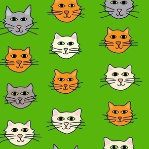 Cat Face Stripe Large Green