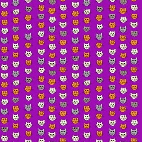 Cat Face Stripe Small Purple