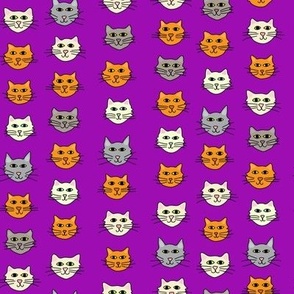 Cat Face Stripe Medium Purple