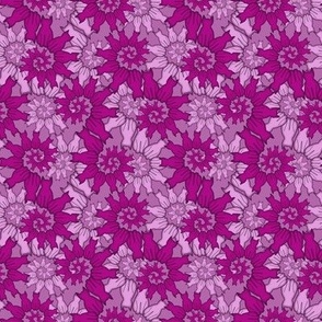 Cat Spiral Small Purple