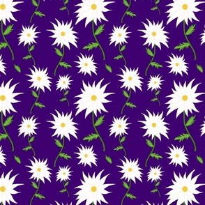 Wild Daisy Dream - white on indigo royal purple