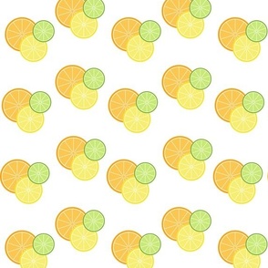 Lemon, Lime, Orange Slices Small Scale 