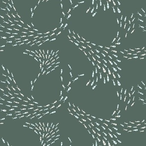 Darting Fish in rock pools swimming in schools with the current in peach and blue on a dark green grey background