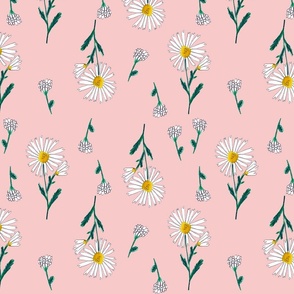White daisy flowers with leaves on light pink background