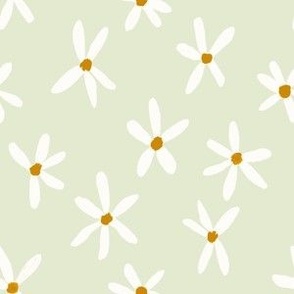 Daisy Garden 6in Daisies Print White, Sage Green and Mustard Daisy Flowers Baby Spring JUMBO SCALE