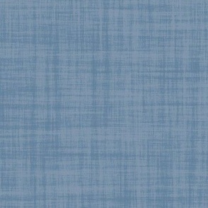 Linen Texture Solid Denim Blue