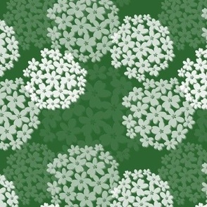 White flowers on a field of green