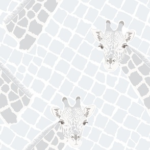 Giraffe heads and animal print of reticulated spots in gray