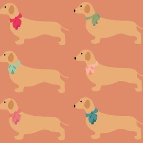 Dachshunds With Coloured Bows on Peach 