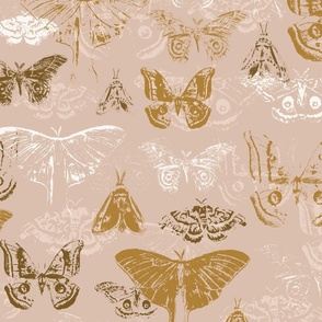 Moths, Vintage Moths, Pink, Gold