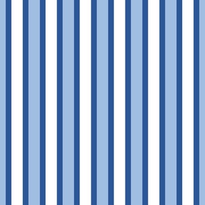tropical stripes/blue