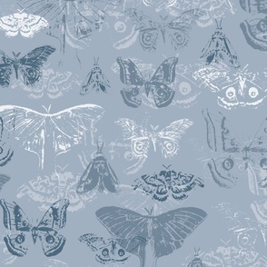 Moths, Vintage Moths, Blue, Denim