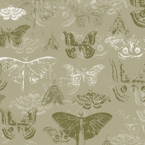 Moths, Vintage Moths, Green