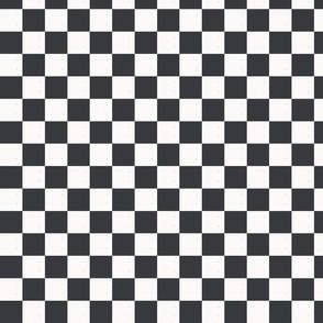 textured checkerboard in black & white, small