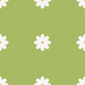Chartreuse Daisy 12''
