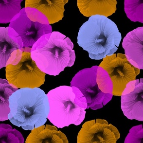 Beautiful Hibiscus / Beautiful Floral Photography 