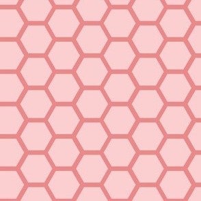 Small / Hexagon Shapes Multi-Directional Pink