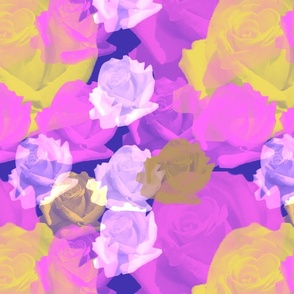 Stunning Transparent Roses Blue Background - Large Scale