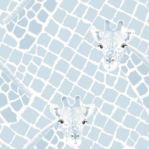 Giraffe heads and animal print of reticulated spots in blue gray
