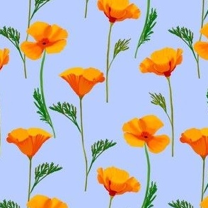 3” California Poppies on Periwinkle Blue