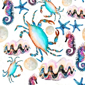 Large Bright Sea Creatures / Watercolor / Kids / Crab / Fish