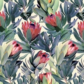 Painted Protea Floral Soft Red Version Small