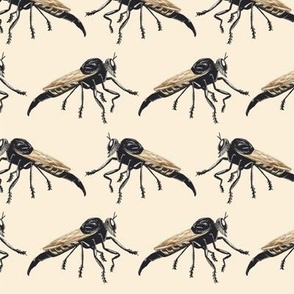 Robber Fly Repeat - LE24-A84