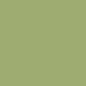 Solid Plain Color Tarragon Green 