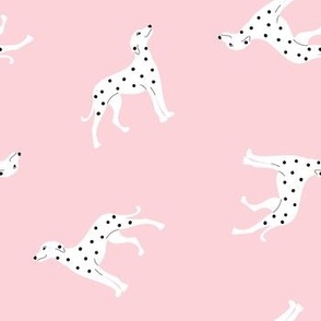 Dotty Dalmatians in Baby Pink