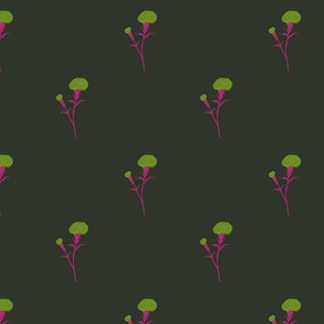 Simple Carnation On Dark Green