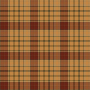 Glen Affric Tartan, Medium Scale