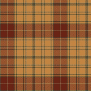 Glen Affric Tartan - Large