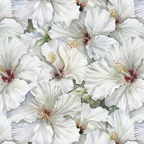 Watercolor white hibiscus