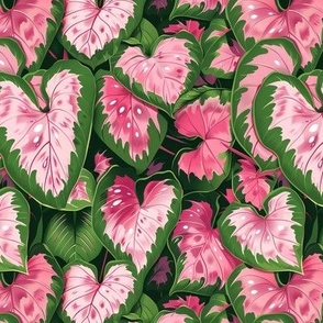 Pink and green calathea leaves