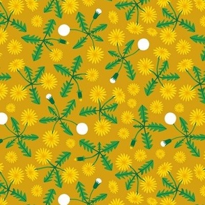 Dandelions_Yellow