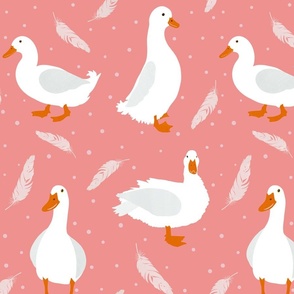 White Ducks, feathers and spots on pink