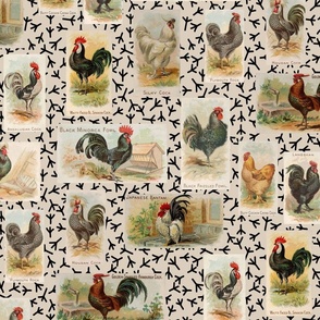 Vintage Roosters from 1891 on Beige with Chicken Footprints