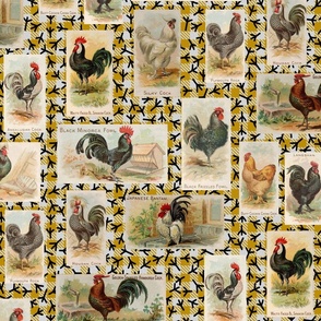 Vintage Roosters from 1891 on Yellow Gingham with Chicken Footprints