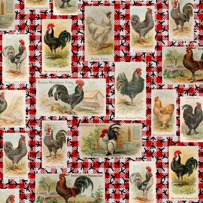 Vintage Roosters from 1891 on Red Gingham with Chicken Footprints