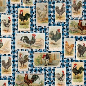 Vintage Roosters from 1891 on Blue Gingham with Chicken Footprints
