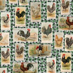 Vintage Roosters from 1891 on Green Gingham with Chicken Footprints