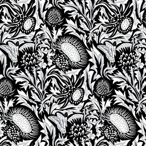 Regal Thistle- Dancing Weeds- Black and White- Monochrome- Regular Scale